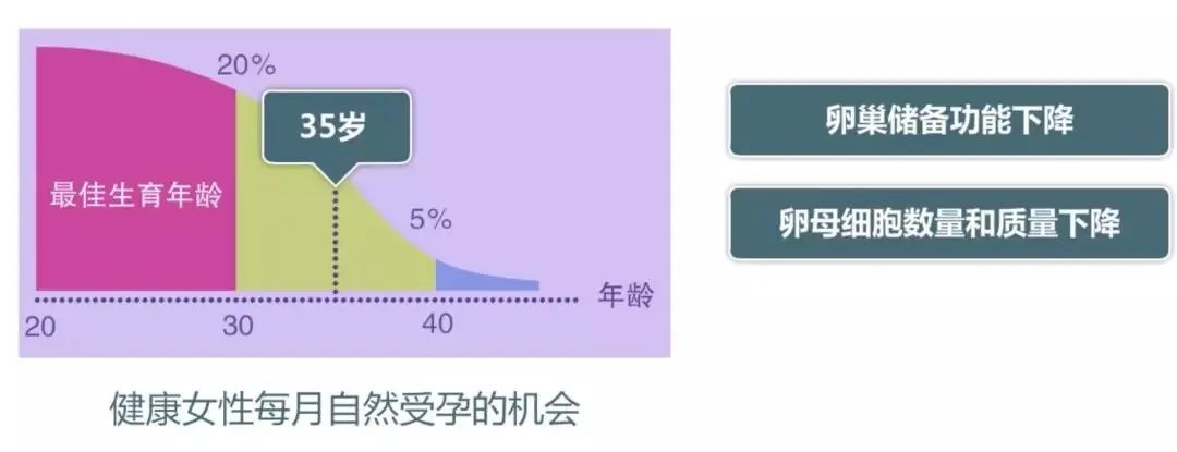 备孕检查多少钱