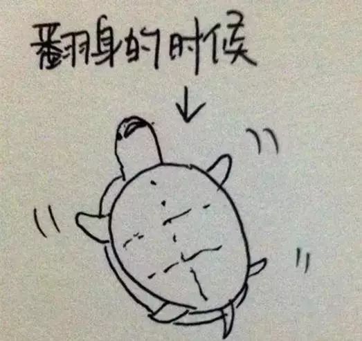 孕晚期孕妈们的真实写照1