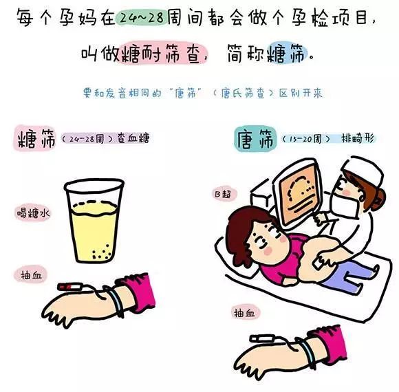 必须要做的孕检项目