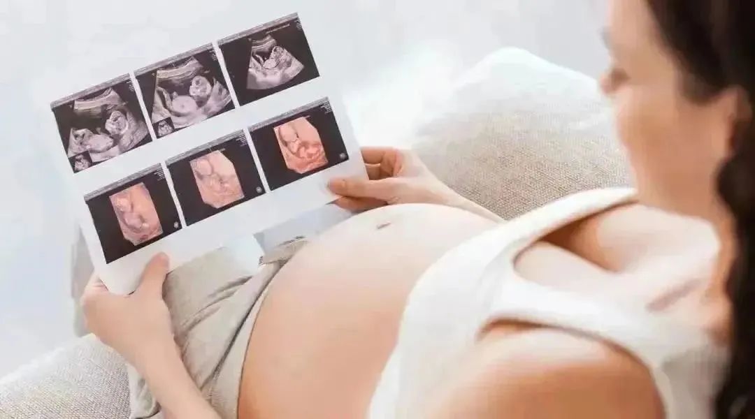 胎儿心脏超声检查