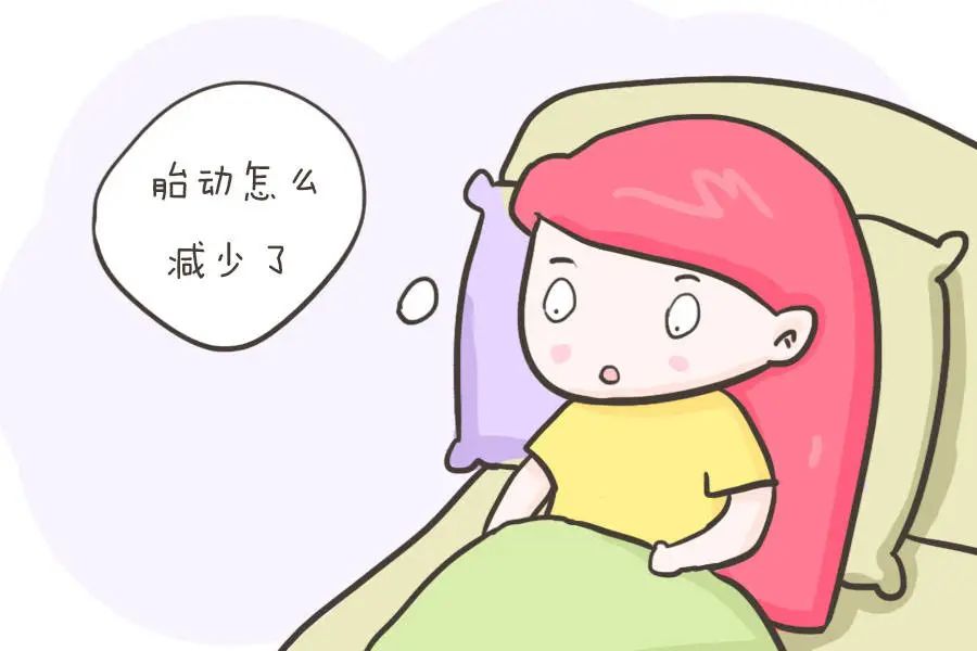 孕期孕妈担心的问题